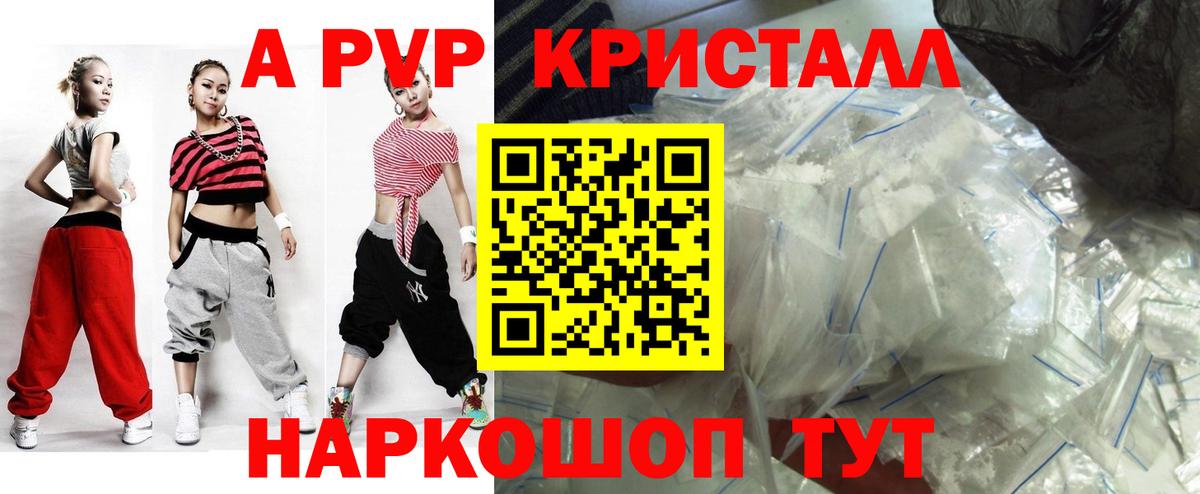A PVP СК Бердск