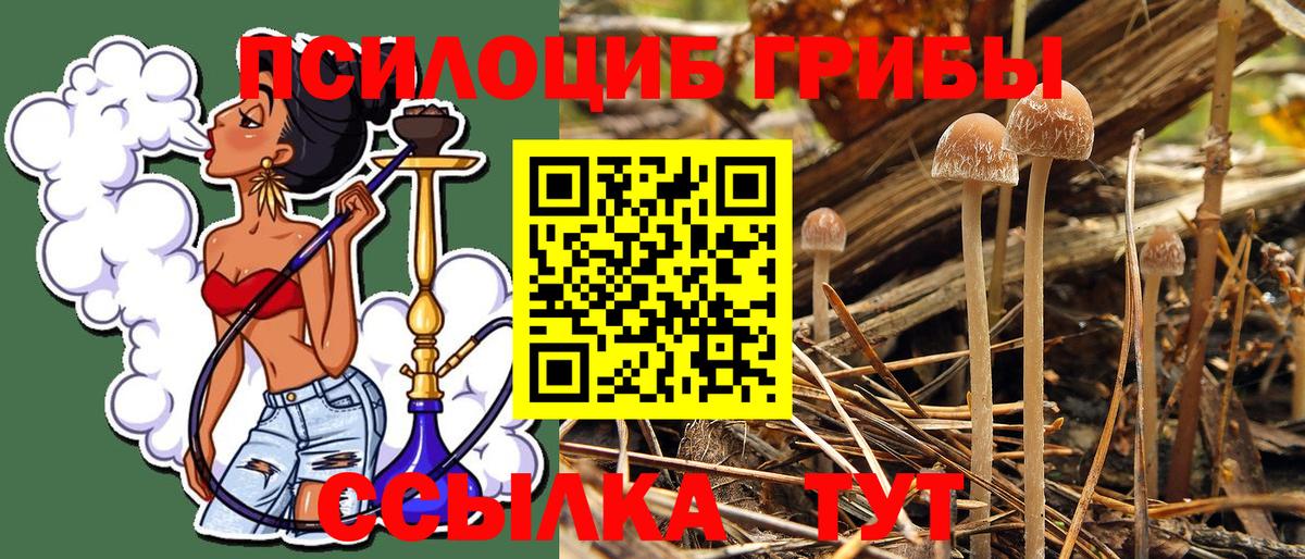Галлюциногенные грибы ЛСД  Вход с VPN  Бердск  Галлюциногенные грибы Magic Shrooms 